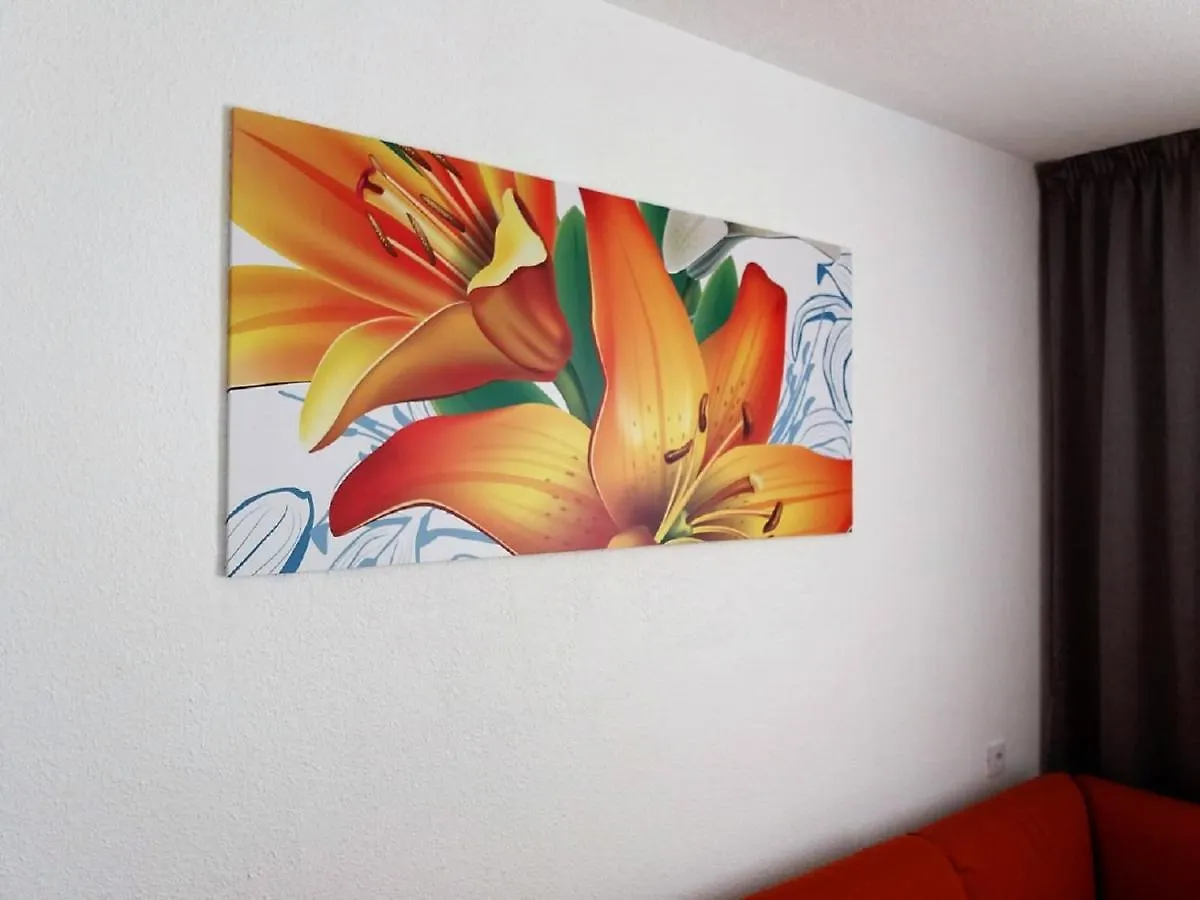 Apartments Palm Garden Morro Jable  0*, Morro Jable (Fuerteventura)