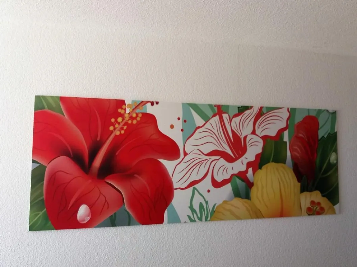 Apartments Palm Garden Morro Jable